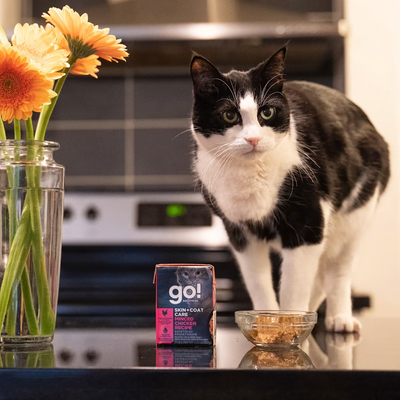 Go！SKIN + COAT CARE  MINCED CHICKEN RECIPE WITH GRAINS CAT FOOD