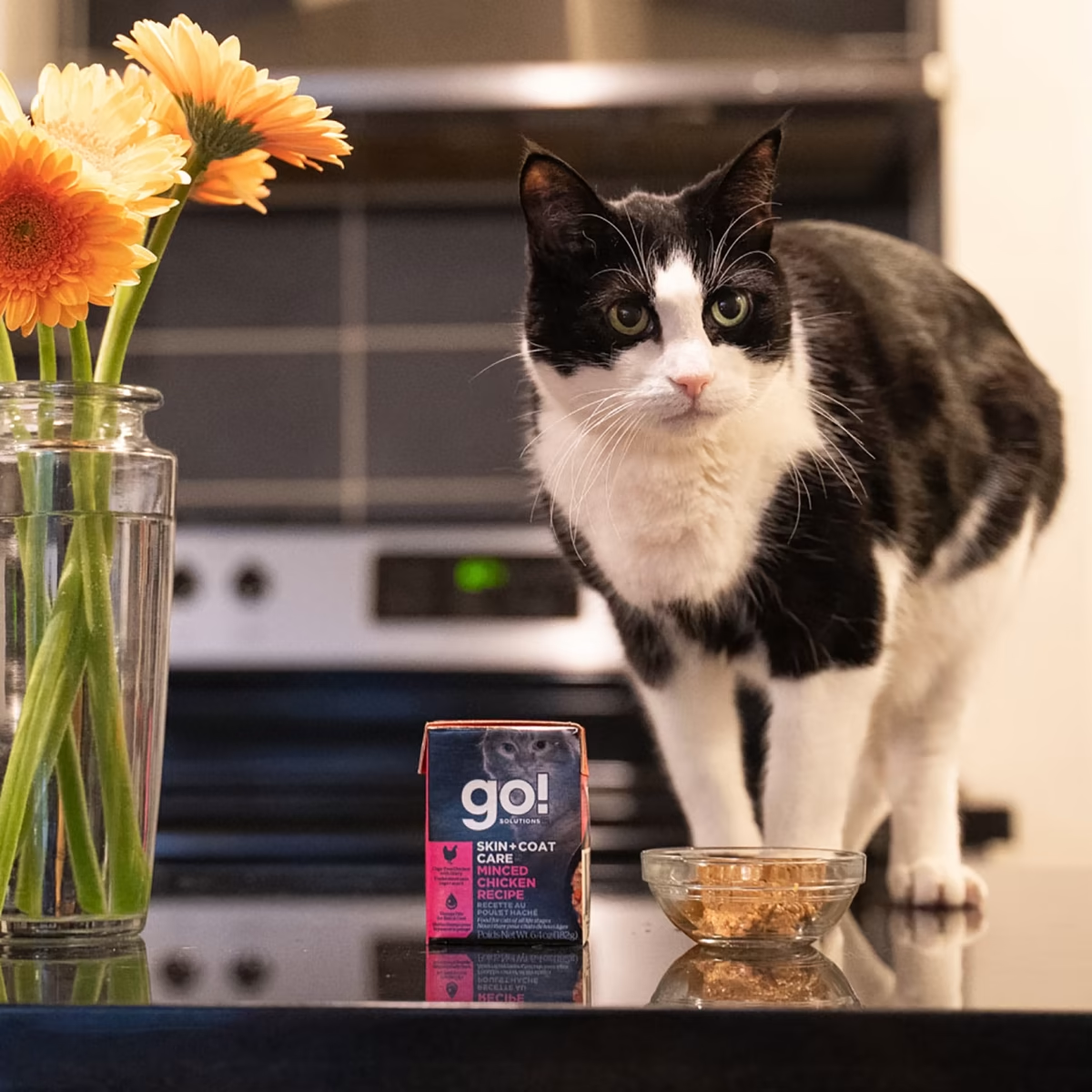 Go！SKIN + COAT CARE  MINCED CHICKEN RECIPE WITH GRAINS CAT FOOD