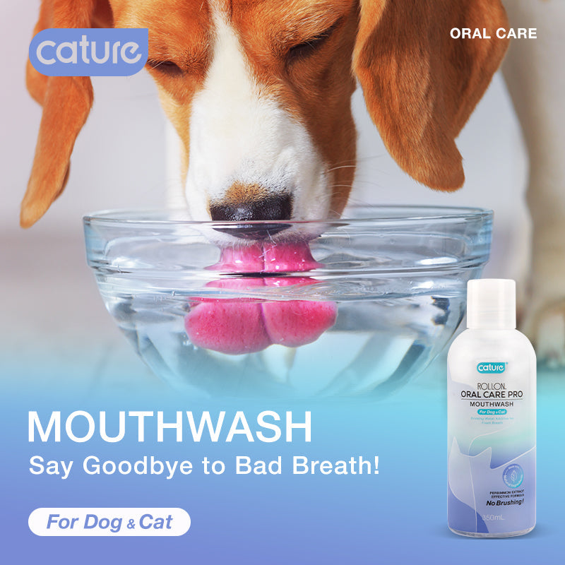CATURE - Purelab Pet Oral Care Mouthwash Sachet Case 350ml