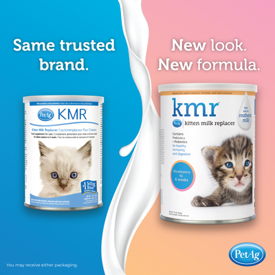 PetAg KMR® Kitten Milk Replacer Powder