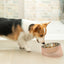 PIDAN Iceberg 8° Slanted Pet Bowl