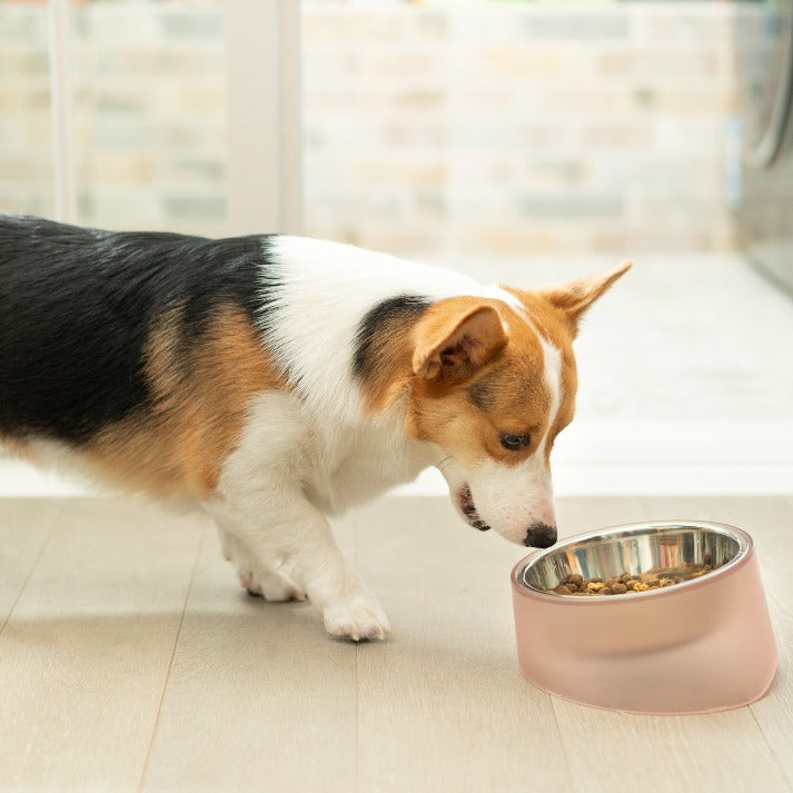 PIDAN Iceberg 8° Slanted Pet Bowl
