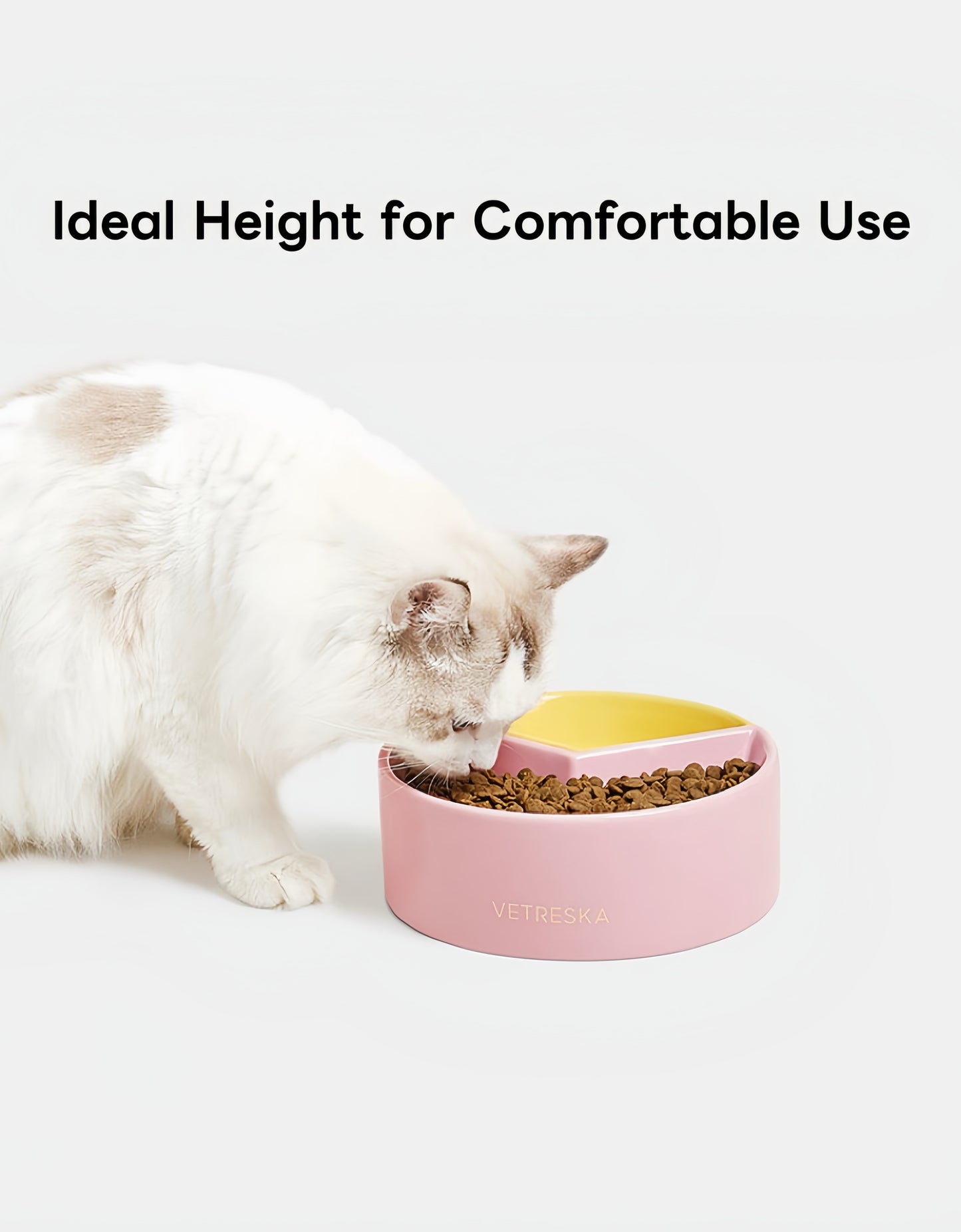 VETRESKA Like A Watermelon / Grapefruit Ceramic Bowl For Cats & Dogs