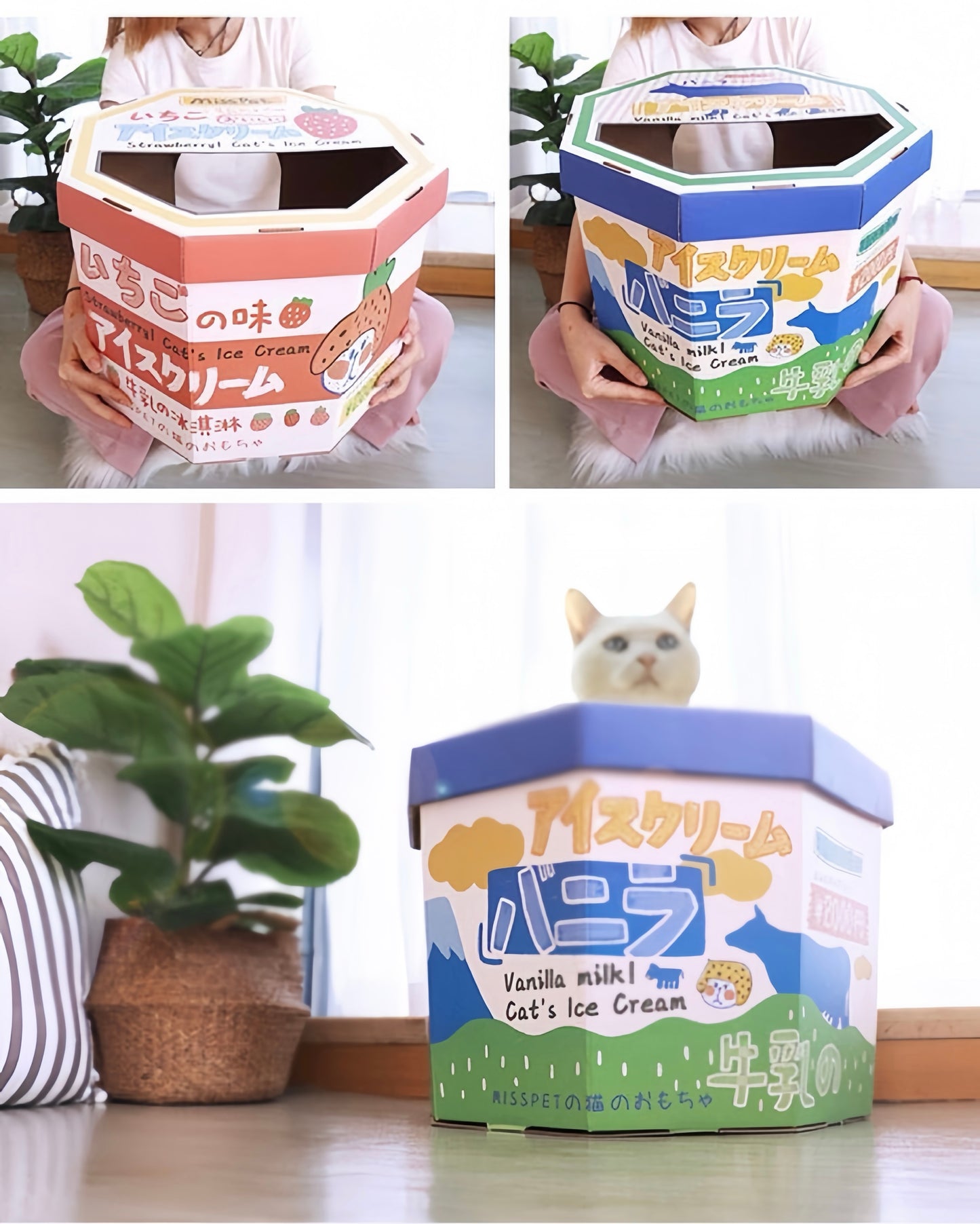 Misspet® Ice-cream Box Cat Scratcher