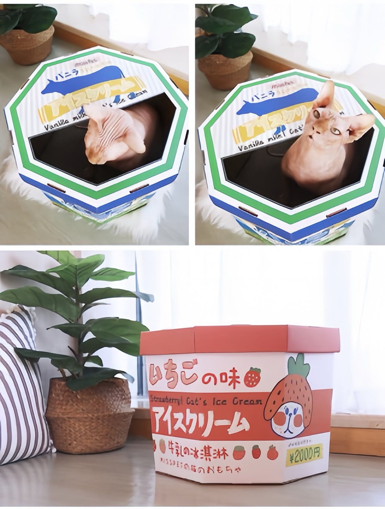 Misspet® Ice-cream Box Cat Scratcher