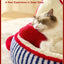 Indoor Cat Bed Warm Soft Comfortable Cute Design Washable Plush Pet Bed Dog Calming Bed Indoor Cat Bed Indoor Pet Bed Washable Dog Bed for Autumn Winter
