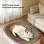 Gradient Color Oval Shape Cat Scratching Cardboard - Cat Scratch Pad Corrugated Lounge | Cardboard Bowl Nest Cat Scratcher | Cat Pad Board Scratcher | Cat Scratcher
