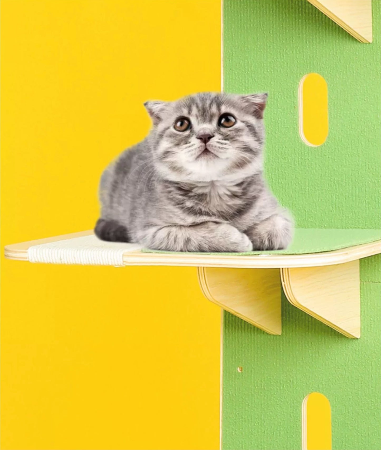 Cactus-Shaped Multi-Level Wooden Hanging Cat Tree
