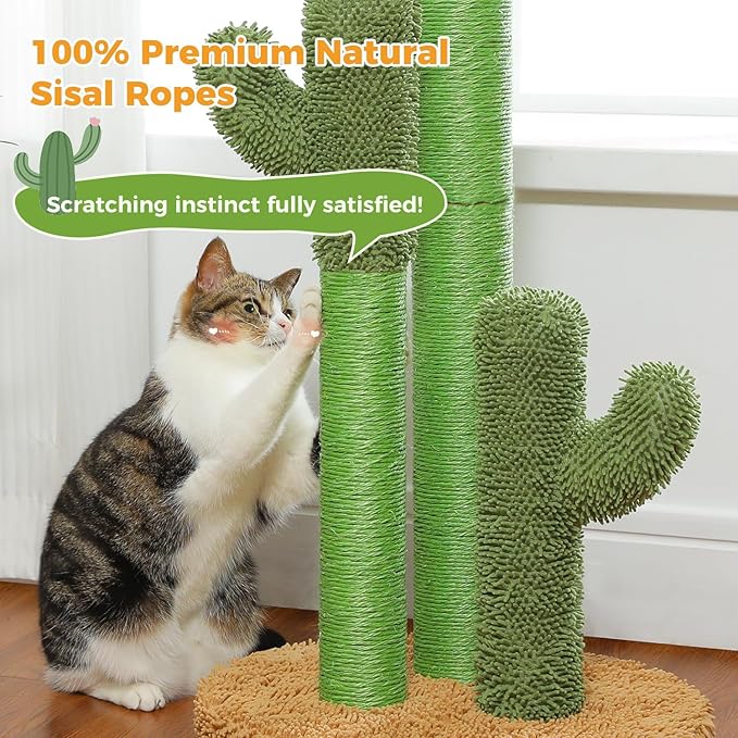 PAWZ Road Cat Scratching Post Cactus Cat Scratcher Featuring with 3 Scratching Posts and Dangling Ball
