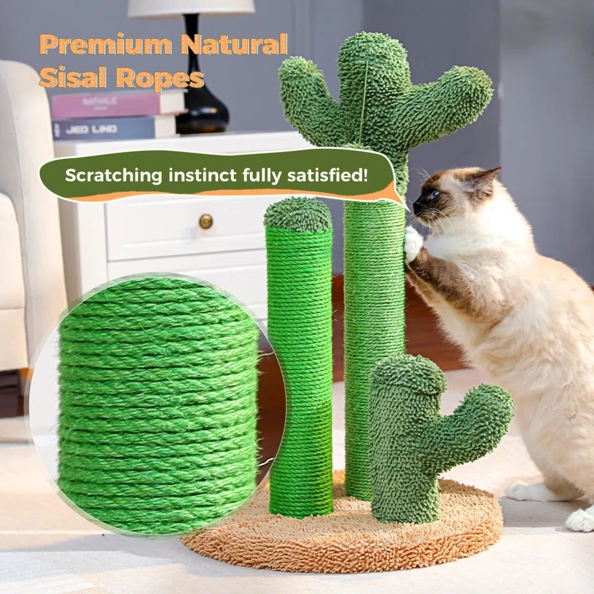 PAWZ Road Cat Scratching Post Cactus Cat Scratcher Featuring with 3 Scratching Posts and Dangling Ball