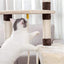 Pawz Road Cat Apartments Cat Nest Cat Tree One Cat Villa Grab Column Cat Climbing Frame Sisal Jumping Platform Cat Climbing Frame Cat Tree Tower