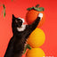 ZEZE Fruit-Shaped Sisal Cat Scratching Post