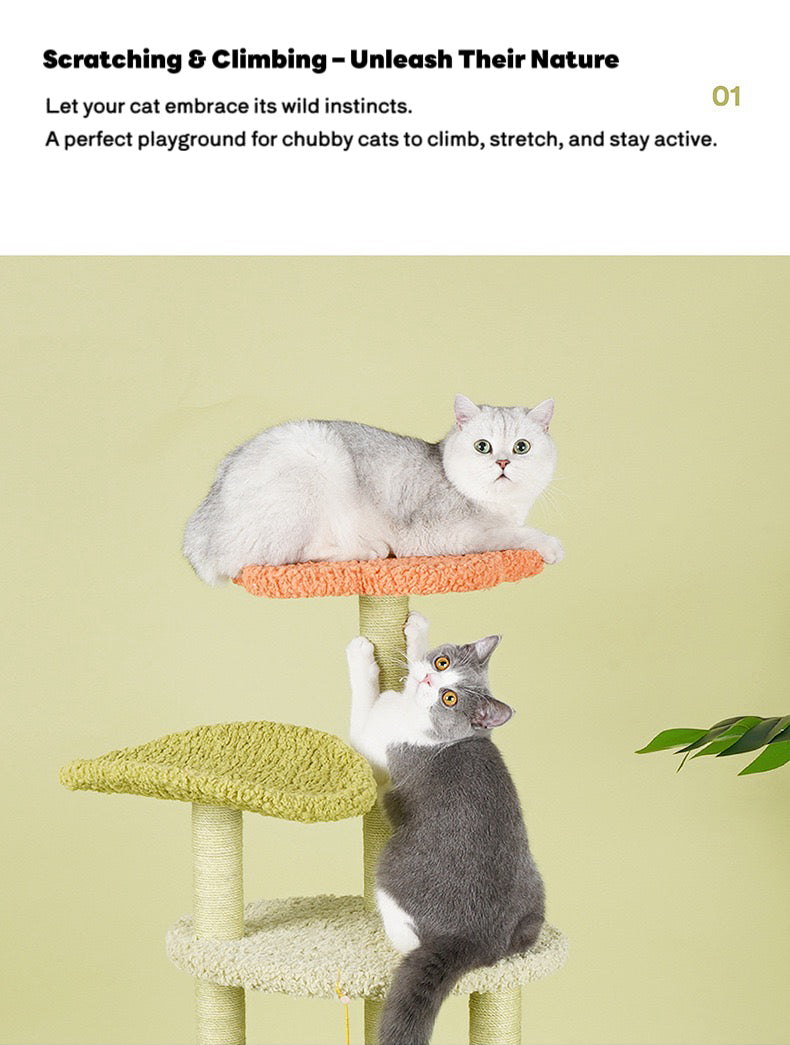 ZEZE Aidola Flower House Cat Tree Lotus Leaf Cat Tree Cat Tower Indoor,Scratching Post Jumping Toy Climbing Frame Integrated Multifunctional Apartment,for All Cats