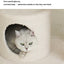 ZEZE White Cream Style Cat Tree