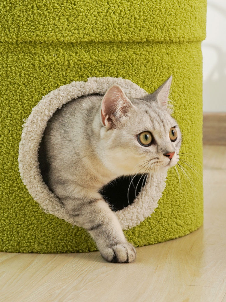 Super Cannibal Flower Cat Tree