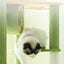 Forest Cat Tree