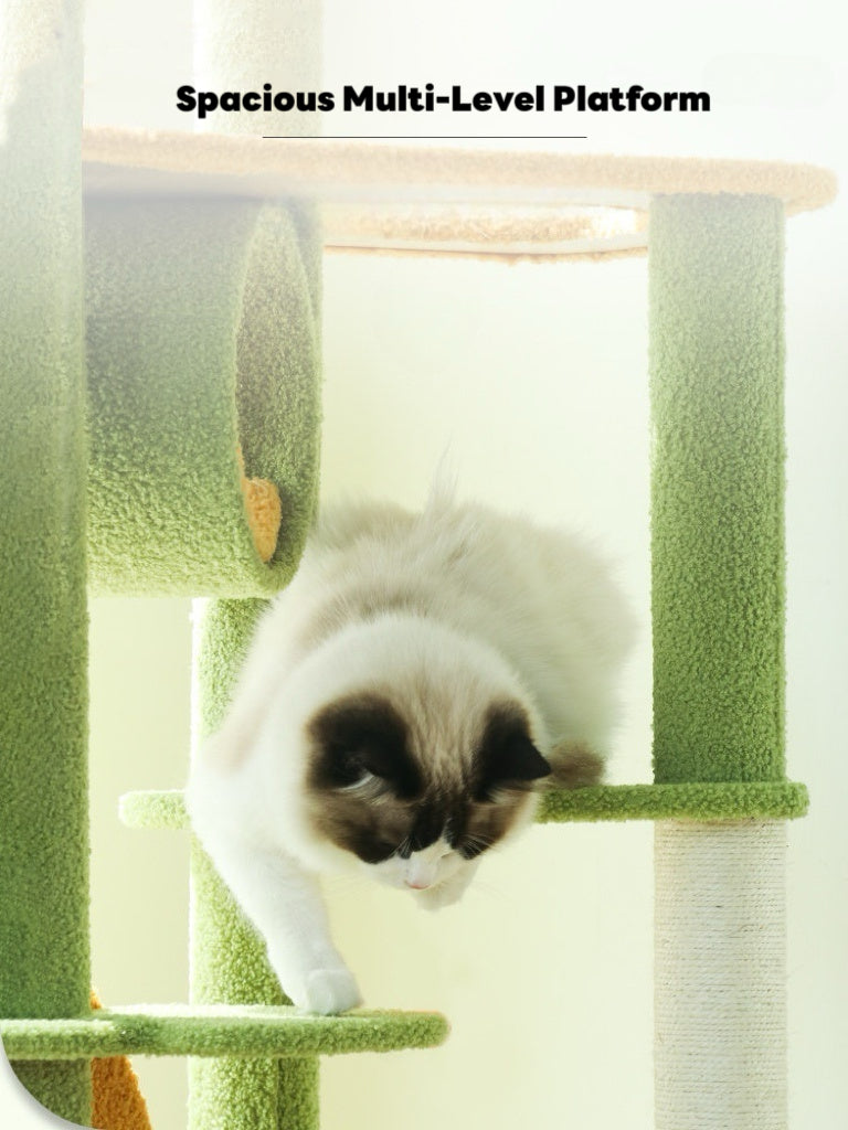 Forest Cat Tree