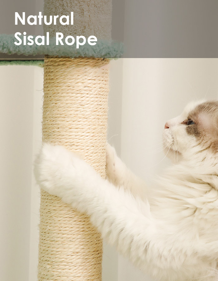 Pink Forest Cat Tree