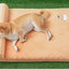 Navy Style Military-Inspired Pet Mattress