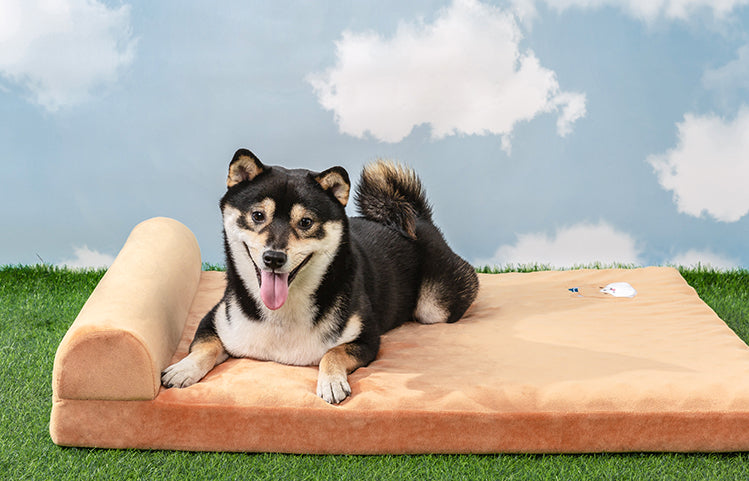 Navy Style Military-Inspired Pet Mattress