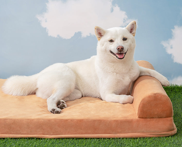 Navy Style Military-Inspired Pet Mattress