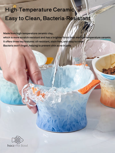 Raised Tilted Ceramic Cat Bowl - Cute Elevated Slanted Shallow Angled Cat Dish - Personalized Pet Feeder for Food Feeding - Ergonomic Anti Vomiting Whisker Fatigue - Size for Cat and Small Dog