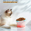 Raised Tilted Ceramic Cat Bowl - Cute Elevated Slanted Shallow Angled Cat Dish - Personalized Pet Feeder for Food Feeding - Ergonomic Anti Vomiting Whisker Fatigue - Size for Cat and Small Dog