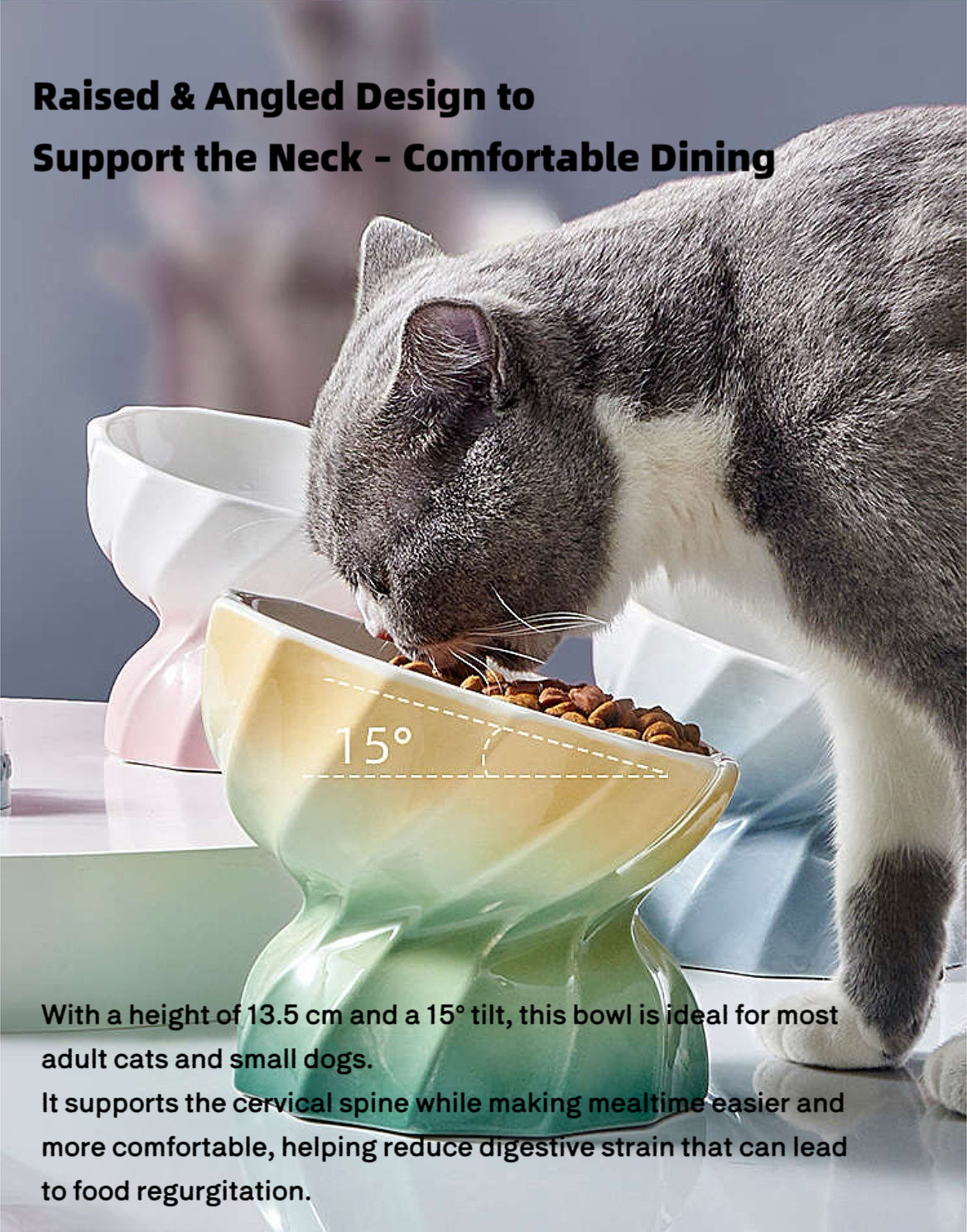 Macaron Gradient Ceramic Pet Bowl