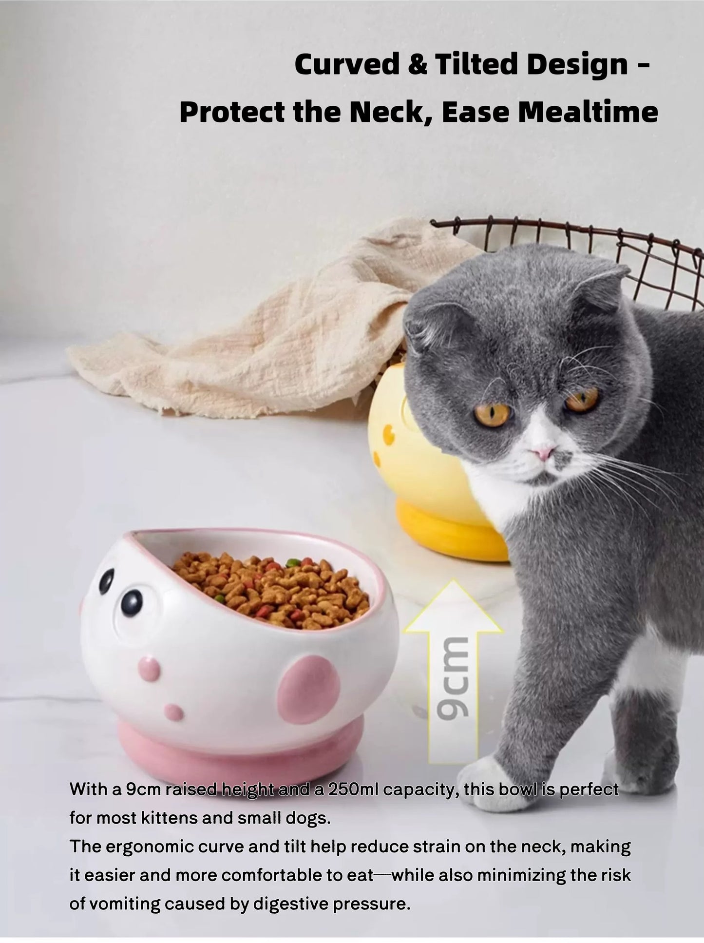 Little Crybaby Ceramic Pet Bowl