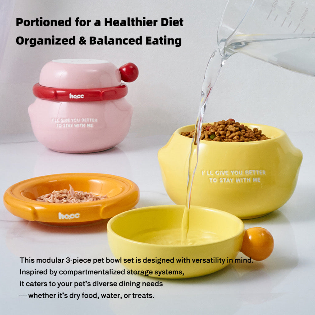 3-in-1 Ceramic Pet Bowl Set
