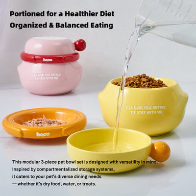 3-in-1 Ceramic Pet Bowl Set