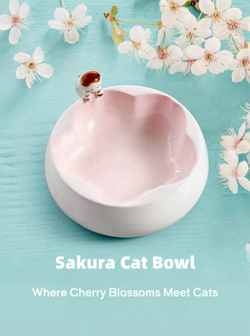 Cat & Sakura pink ceramic pet bowl with cherry blossoms