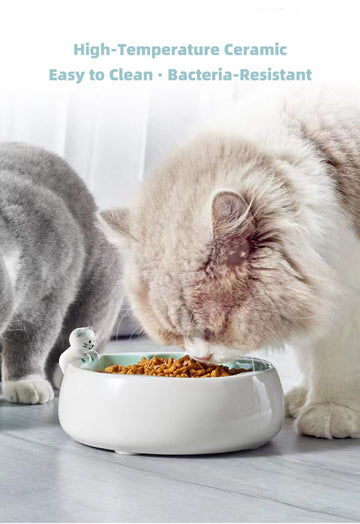 Cat & Sakura ceramic pet bowl with cat eating