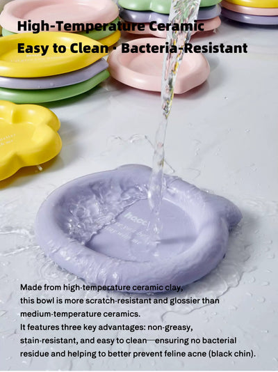 Colorful Ceramic Pet Plates