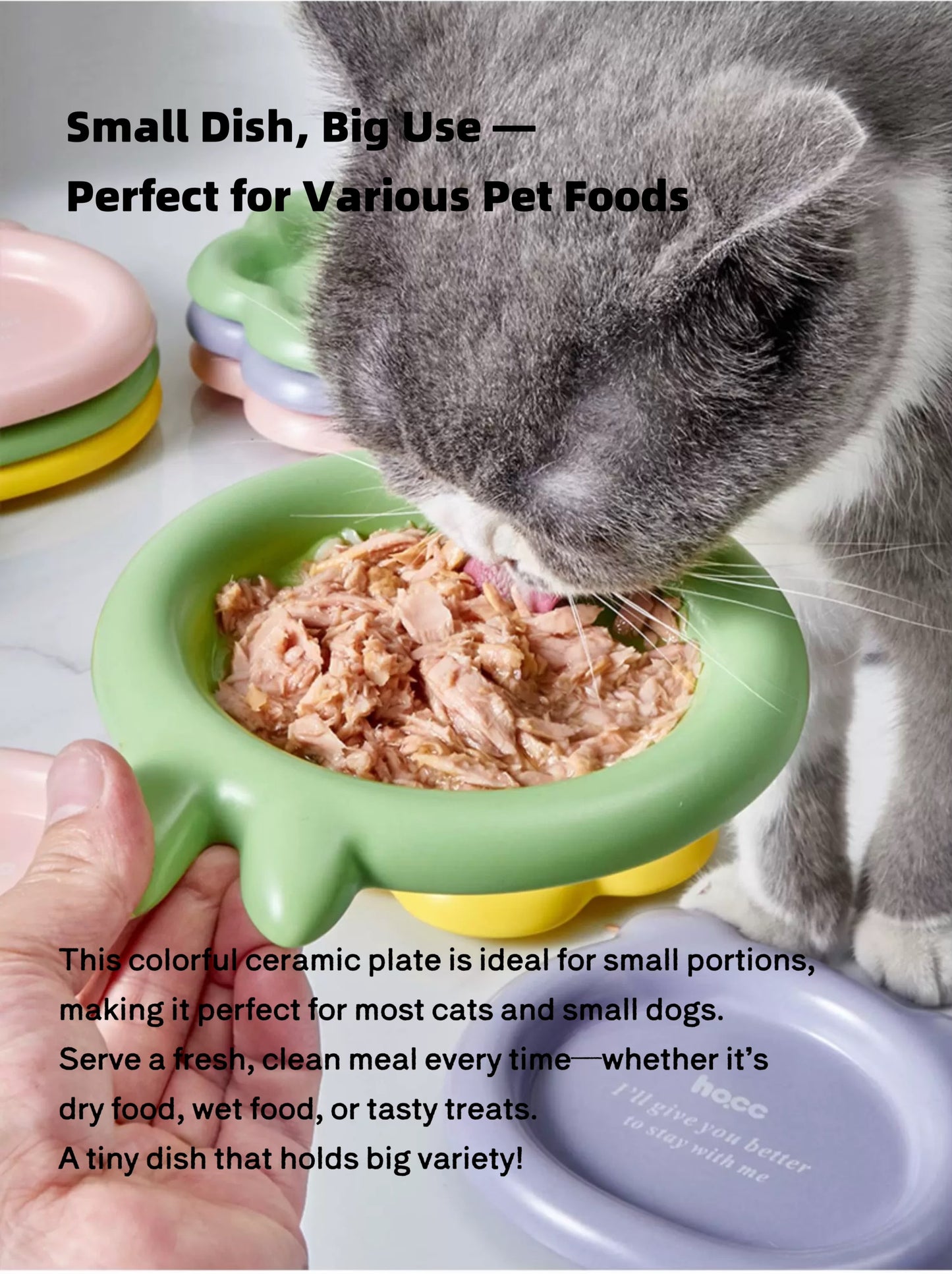 Colorful Ceramic Pet Plates