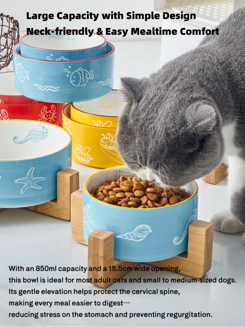 Color-Glazed Ceramic Bowl with Bamboo Stand