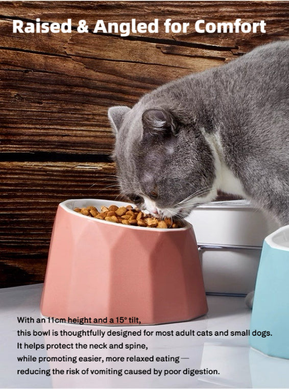 Volcano Dual-Tone Ceramic Pet Bowl