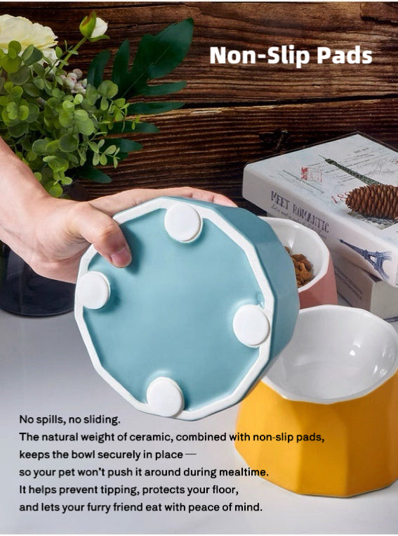 Volcano Dual-Tone Ceramic Pet Bowl