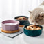 Elegant Ceramic Pet Bowl with Oak Base