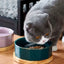 Elegant Ceramic Pet Bowl with Oak Base