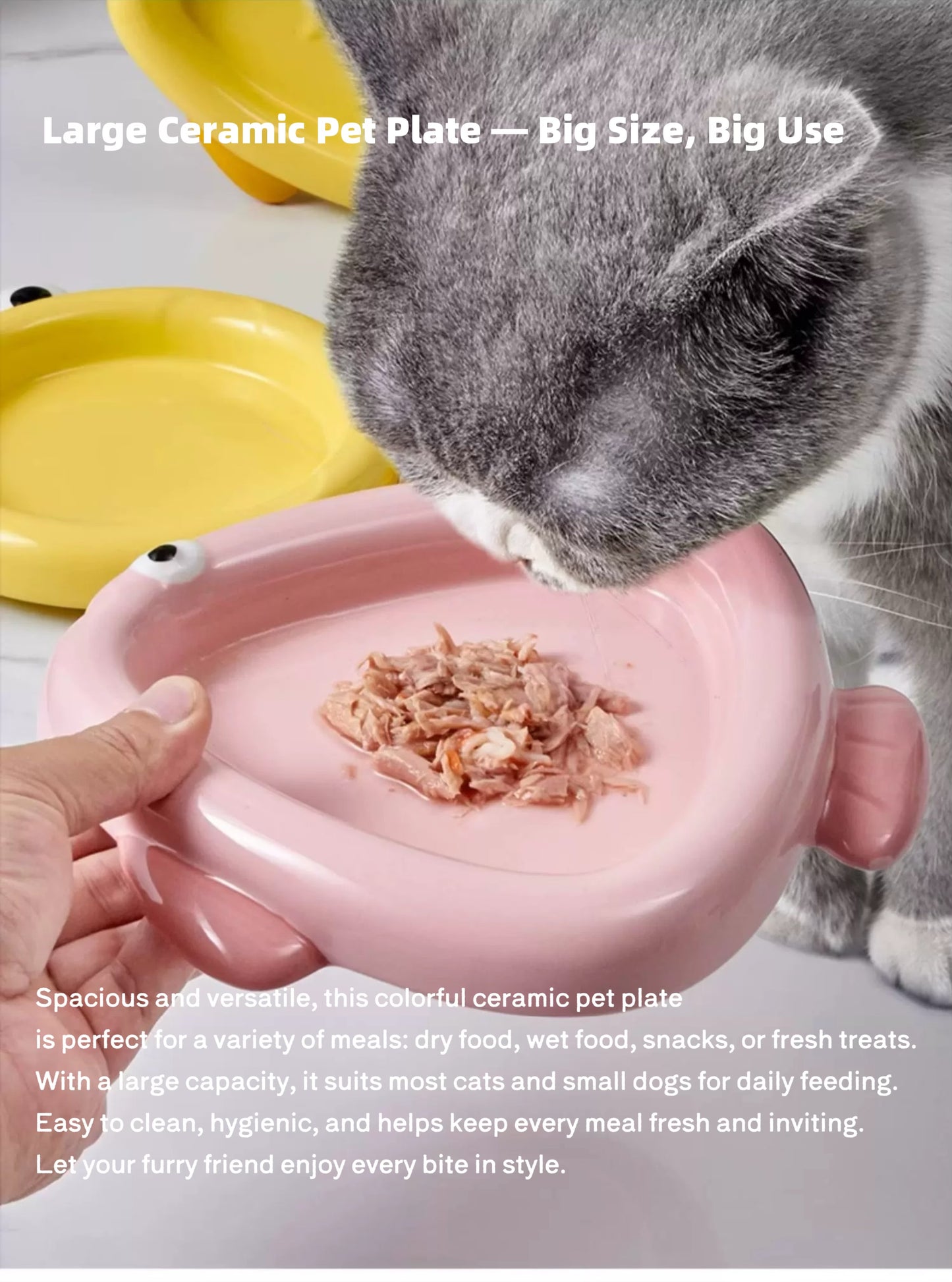 Colorful Ceramic Fish-Shaped Pet Plates