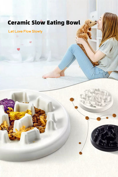 Ceramic Slow Eating Bowl