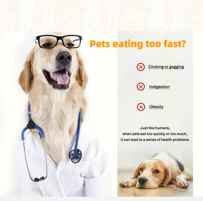 Ceramic Slow Eating Bowl