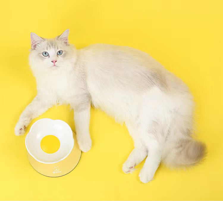 Blooming Flower Ceramic Pet Bowl