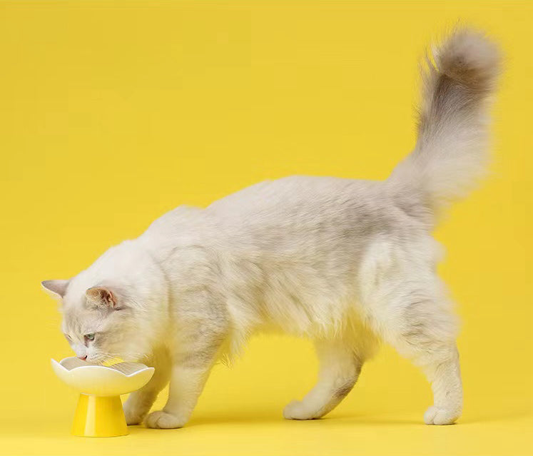 Blooming Flower Ceramic Pet Bowl