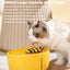 Little Bee Pet Water Fountain