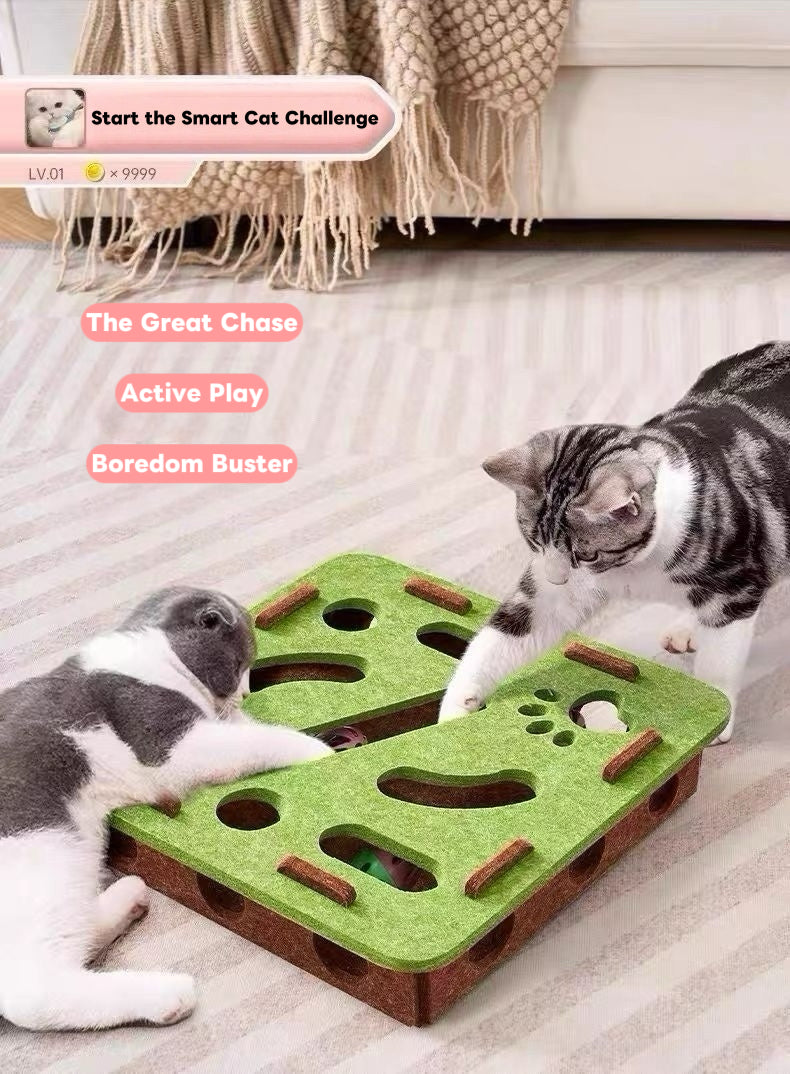 Retro Felt Play Station: The Smart Cat Challenge