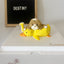 3D Pet Cake，Pet Birthday Cake, Pet Cake，Dog&Cat Birthday Cake