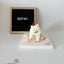 3D Pet Cake，Pet Birthday Cake, Pet Cake，Dog&Cat Birthday Cake