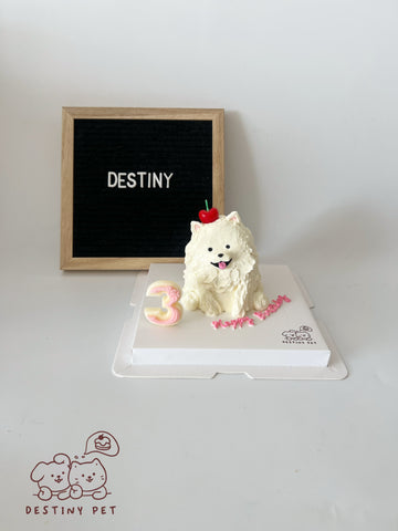 3D Pet Cake，Pet Birthday Cake, Pet Cake，Dog&Cat Birthday Cake